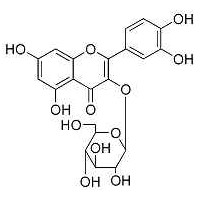 异槲皮苷 异槲皮苷98%