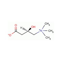 左旋肉碱