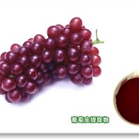 天然葡萄皮色素  、零售批发