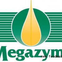 Megazyme甘油检测试剂盒