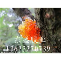食用桃胶 食用级桃胶 天然桃胶 东盛桃胶