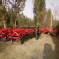 后输出葛根白术药材挖掘机 厂家直销新一代高产量丹参收获机