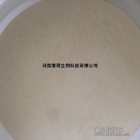 厂家直销食品级增稠凝固剂琼脂粉