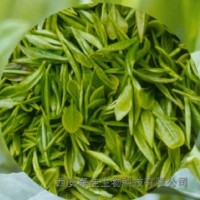 【绿茶提取物-茶多酚】≥60%、95%