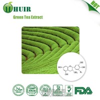 绿茶提取物/儿茶素/EGCG/茶多酚95%