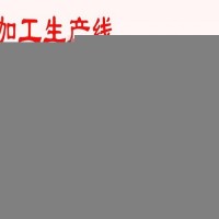 专业大蒜加工机械大蒜深加工设备