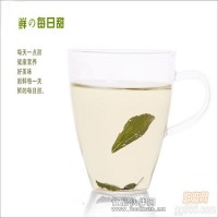 天然食品添加剂—甜菊糖甜度300倍