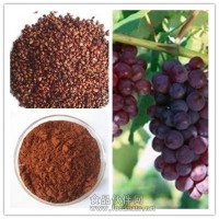 葡萄籽提取物的作用，OPC，新疆葡萄籽提取物厂家直销