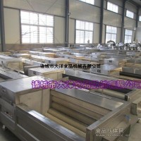 MQT型果蔬清洗机|自动大枣清洗机
