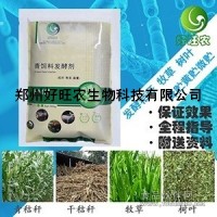 玉米秸秆青贮饲料喂羊注意事项