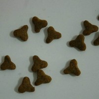 供应猫粮 狗粮 机械设备生产一条线
