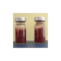维生素B12价格，维生素B12生产厂家