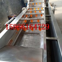 叶类蔬菜清洗机 全自动果蔬清洗机 油菜清洗机 果蔬清洗流水线