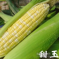糯甜玉米清洗机流水线 可移动式气泡清洗机