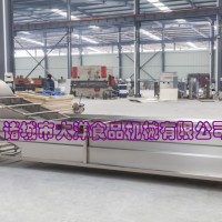 厂家直销质量好的气浪式果蔬清洗设备 畅销的高效率气泡清洗机
