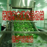 蔬菜清洗机器、菠菜清洗机械、多用气泡清洗设备