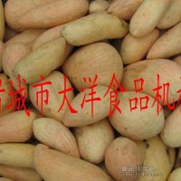 红薯去皮机 土豆脱皮机-大洋食品机械厂