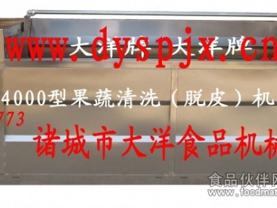 毛刷清洗机、清洗脱皮机、蔬菜清洗机图1