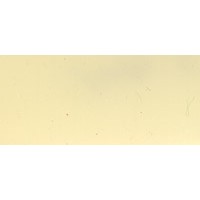 耐高温糙面带