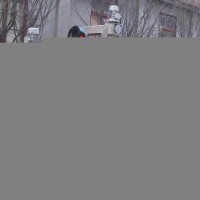 网带式油炸机 网带式油炸流水线