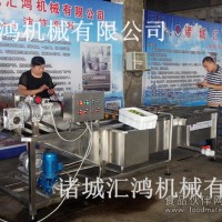 无花果清洗机 气泡式水果清洗机厂家