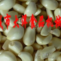 大蒜脱皮机 新款大蒜去皮机