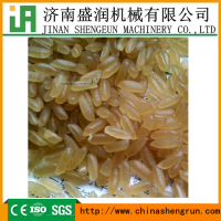 双螺杆营养米加工机械