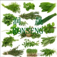 鱼饵香精-草药味香精 举报