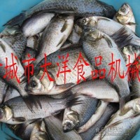 去鱼鳞机价格|批发鱼鳞机|鱼鳞去皮机【低价销售】