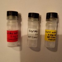 Cry1Ab、1AC、1C、2A、1F蛋白