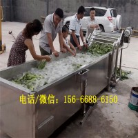 大型净菜生产线,毛豆气泡清洗机