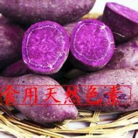 紫甘薯色素价格
