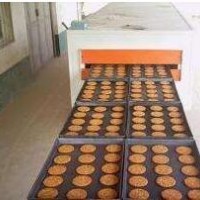生产小型全自动饼干设备