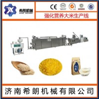 营养强化黄金米生产线