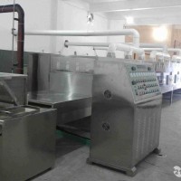 红豆绿豆微波预熟设备值得信赖