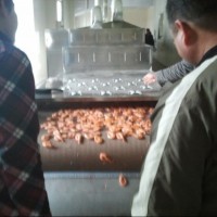 日照大虾微波烘烤设备希朗特价销售