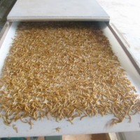 全自动黑水蟒黄粉虫微波烘干膨化设备介绍