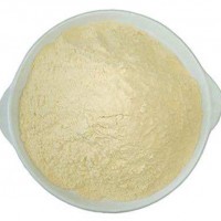 蔗糖酶食品级 酶制剂 现货供应 糖化酶