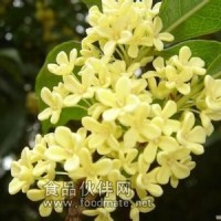 食用级桂花香精 日化级桂花香精 桂花香精精油 桂花香精厂家