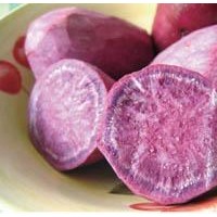 食品级紫甘薯花色苷色素  紫甘薯花色苷色素生产厂家  紫甘薯花色苷色素厂家