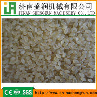 TSE70营养米加工机械