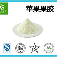 苹果果胶99%含量 食品级原料 斯诺特集团工厂供应