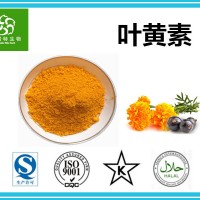 叶黄素80% 叶黄素粉橘黄色粉末 万寿菊提取物 现货供应