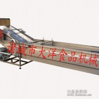 高产量气泡清洗机|蔬菜清洗的设备|洗菜机