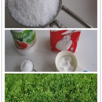 厂家供应 甜菊糖 甜菊糖甙食品级