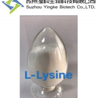 L-赖氨酸56-87-1厂家直销供应