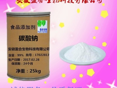 食品级 碳酸钠生产厂家图1