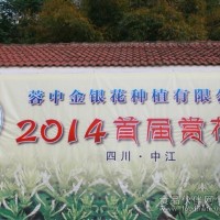 金银花烘干除湿一体机 厂家提供工艺