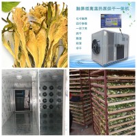 霸王花烘干机 火龙果花烘干机