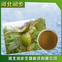 厂家直销金樱子棕使用说明报价添加量用途